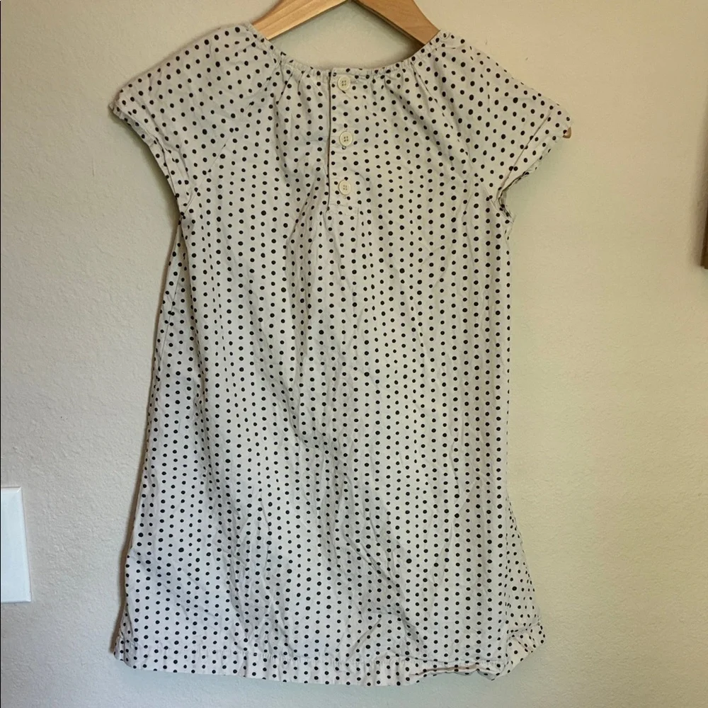 Hanna Andersson Girls Size 120 Cream & Black Polka Dot Dress